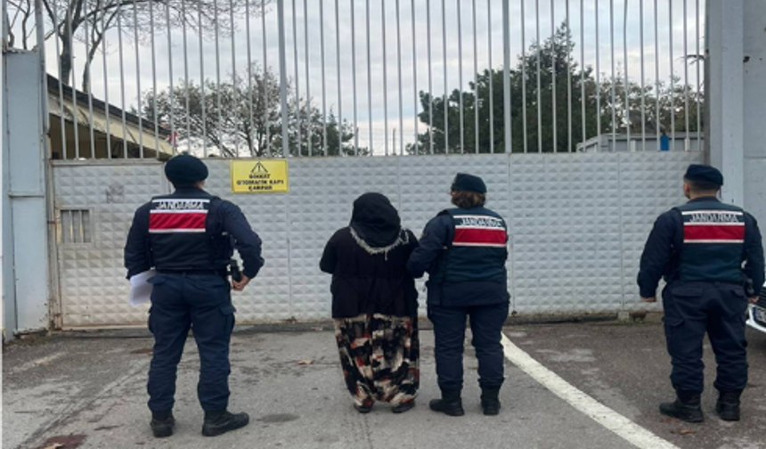 Suç Makinesi Kadın Kocaeli'de Yakalandı