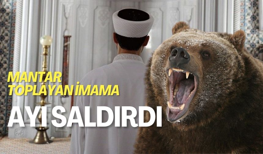 Mantar toplayan imama ayı saldırdı
