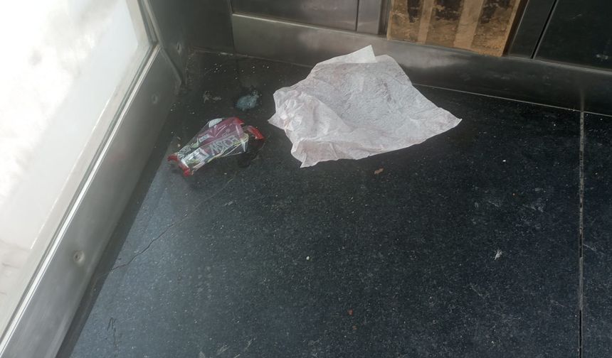 İzmit'teki Bu Üst Geçidin Asansörünü Pislik Götürüyor