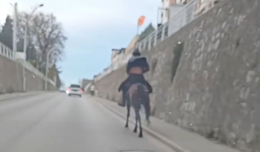 Körfez'de Film Gibi Anlar, Atla Trafiğe Çıktı!