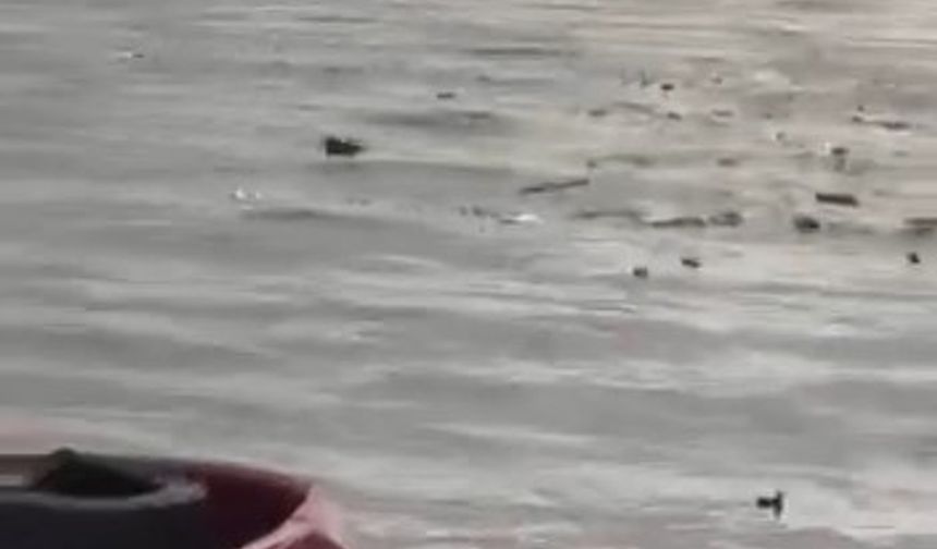 Körfez’de Liman Açıklarında Denize Atık İddiası