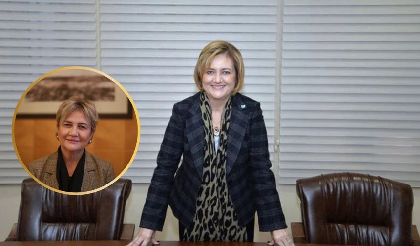 İpek Elif Atayman kimdir, Kaç Yaşında, Neden Hapiste?