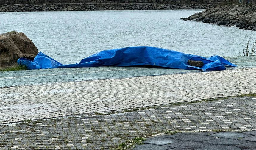 Sahilde Alarm: Kıyıya Bir Cisim Vurdu