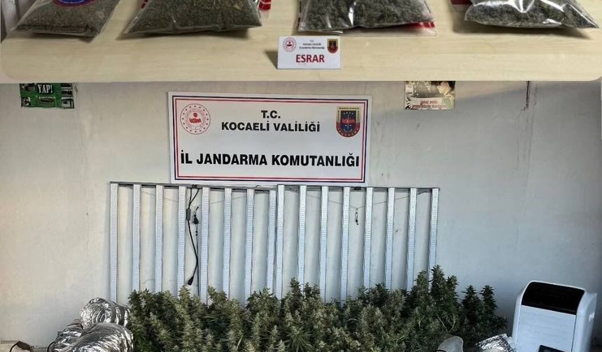 Kocaeli'de 40 Adrese Jandarma Baskını: Operasyon Kamerada