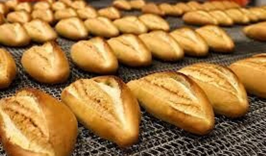 Kocaeli’de Ekmeğe Zam Gelecek Mi?