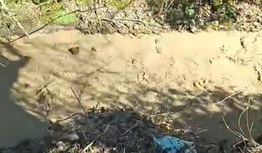 Gölcük'te dereyi kirleten firmaya ceza uygulandı