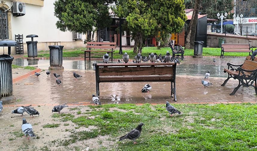 Bayramın ikinci gününde kent sakinliğe büründü