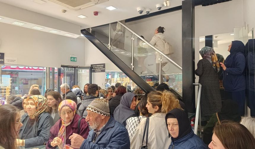 Kriz mi? Fırsat mı? Kocaeli'de Altın Kuyruğu