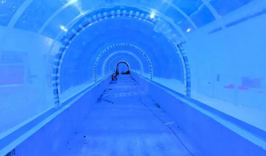 Kocaeli’de Akvaryumun İsmini Vatandaş Belirleyecek!