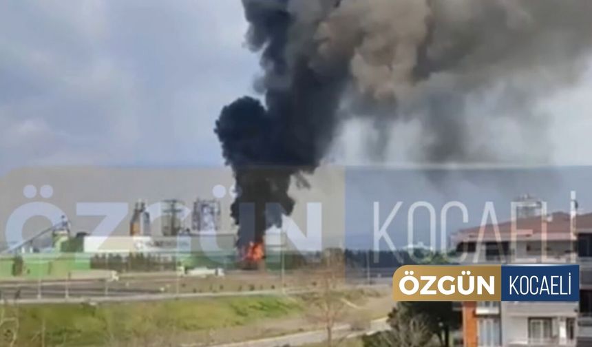 SON DAKİKA! Kartepe'de Yıldız Entegre'de Patlama