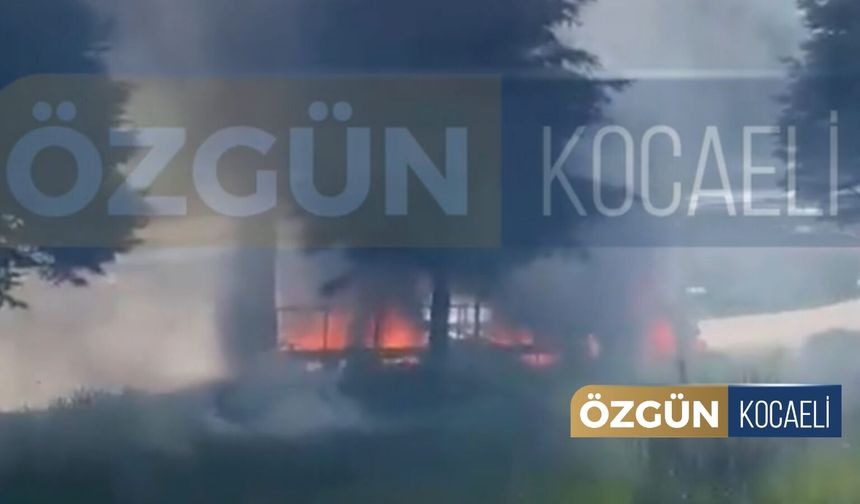 SON DAKİKA! TEM'de Araç Yangını Ağaçlara Sıçradı