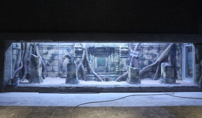 Kocaeli Akvaryumu İçin Geri Sayım Başladı