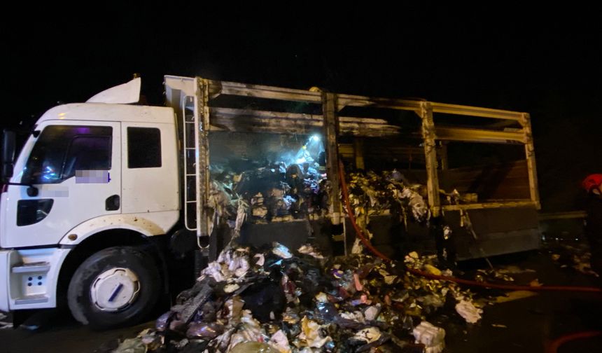 TEM’de korkutan yangın: TIR küle döndü