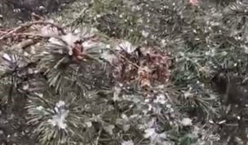 Kocaeli’de Nisan Ayında Kar Sürprizi