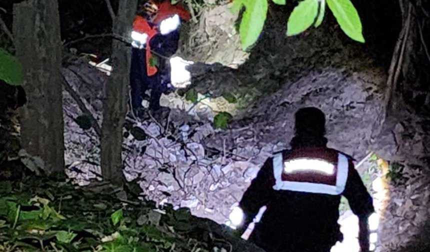 Kocaeli’de Ormanda Korkutan Anlar