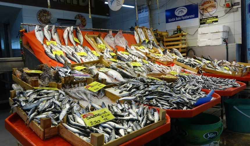 Av Yasağına Rağmen Tezgahlar Dolu