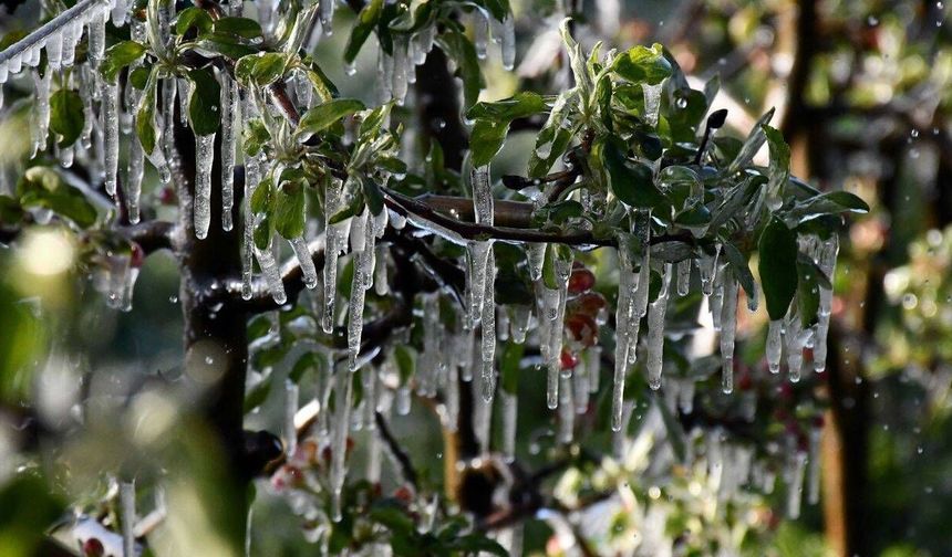 Büyükşehir’den üreticilere “zirai don” uyarısı