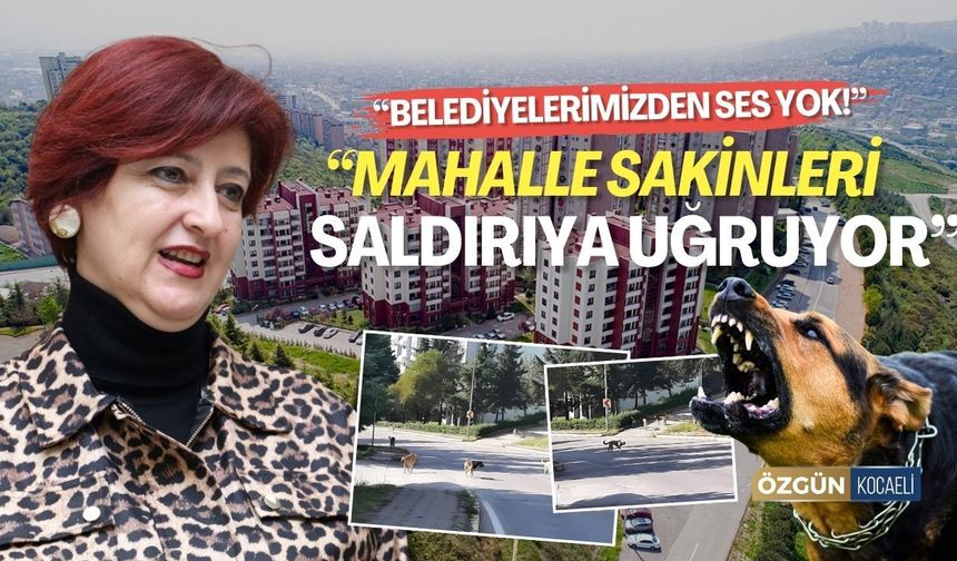 Fevzi Çakmak Mahalle Muhtarı isyan etti: “Mahalle sakinleri saldırıya uğruyor”