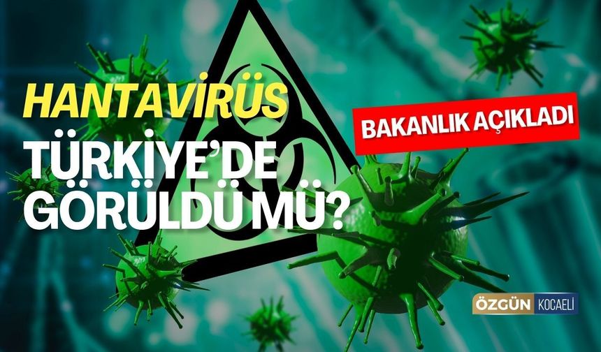 Hantavirüs Türkiye'de Görüldü Mü? Bakanlık Açıkladı