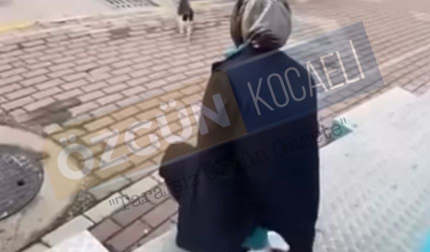 Kediyi sevmek ister gibi çağırdı, kimyasal sıktı