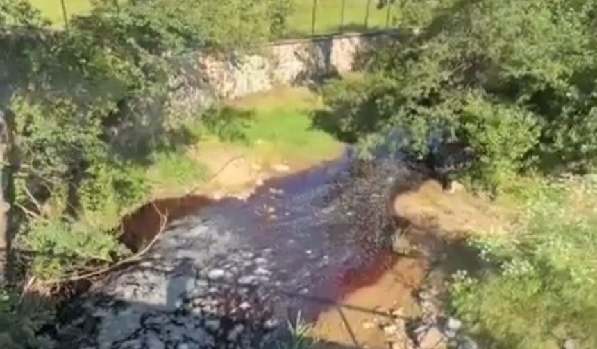 Gebze'de dereden kan aktı
