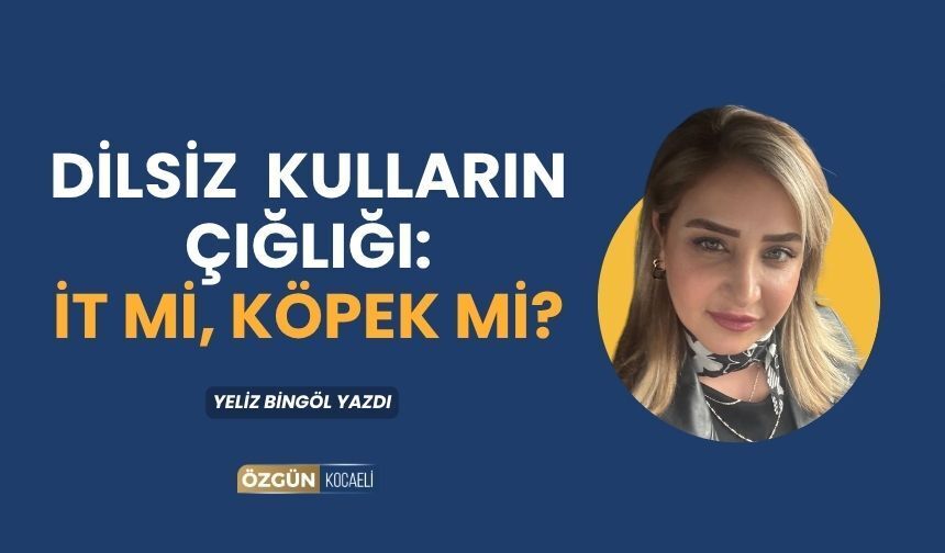 DİLSİZ KULLARIN ÇIĞLIĞI:  İT Mİ, KÖPEK Mİ?