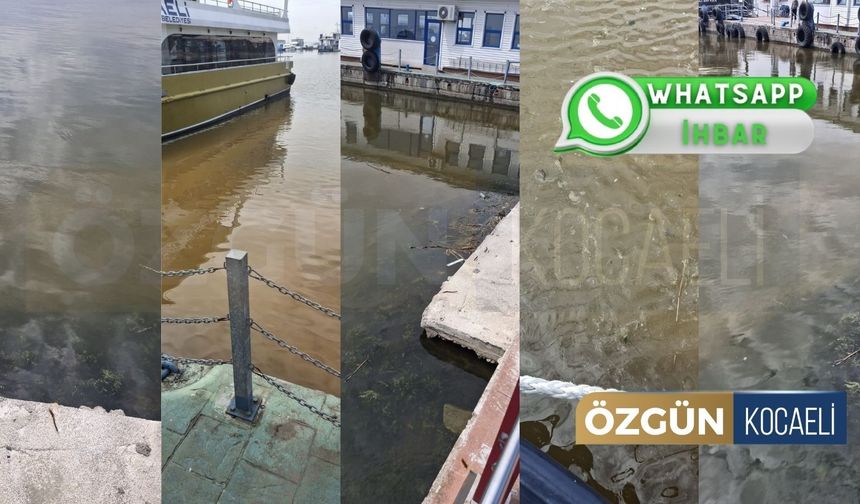 İzmit'te Denizin Rengi Değişti! Vatandaş Kirlilikten Şikayetçi