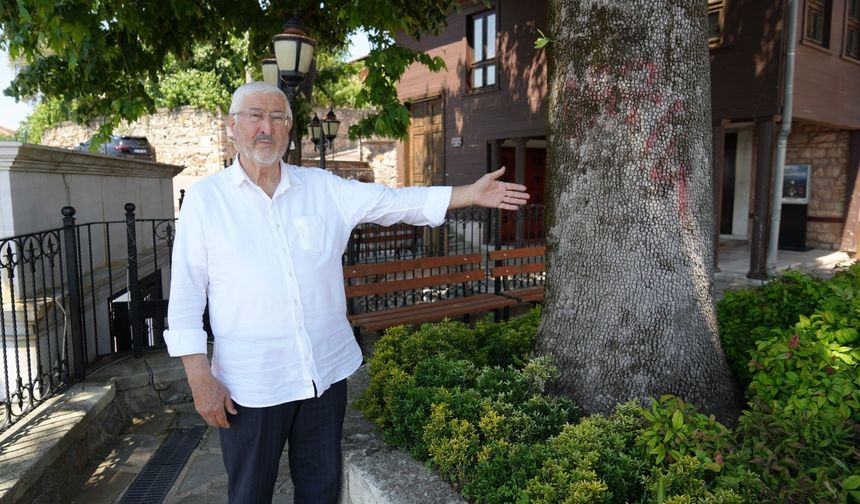Dört Kez Yıldırım Düştü, Ayakta Kalmayı Başardı