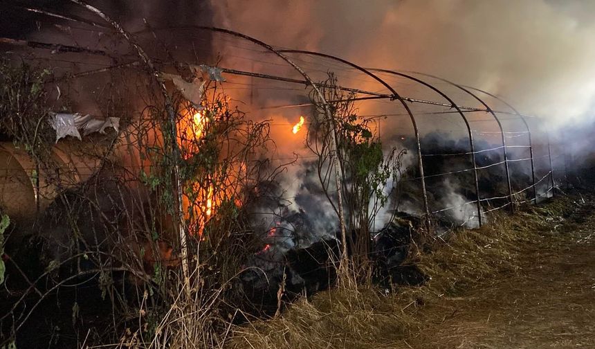 İzmit’te Sera Yangını: 800 Saman Balyası Kül Oldu