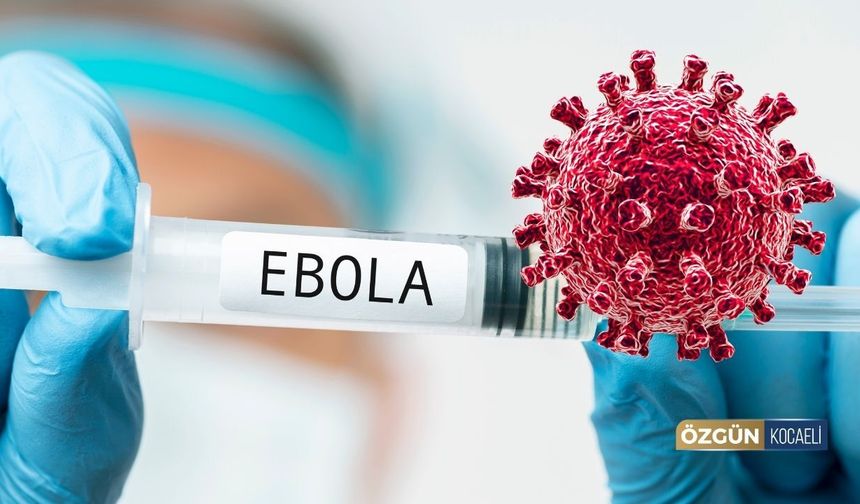 Ebola Virüsü Avrupa'ya Da Sıçradı!
