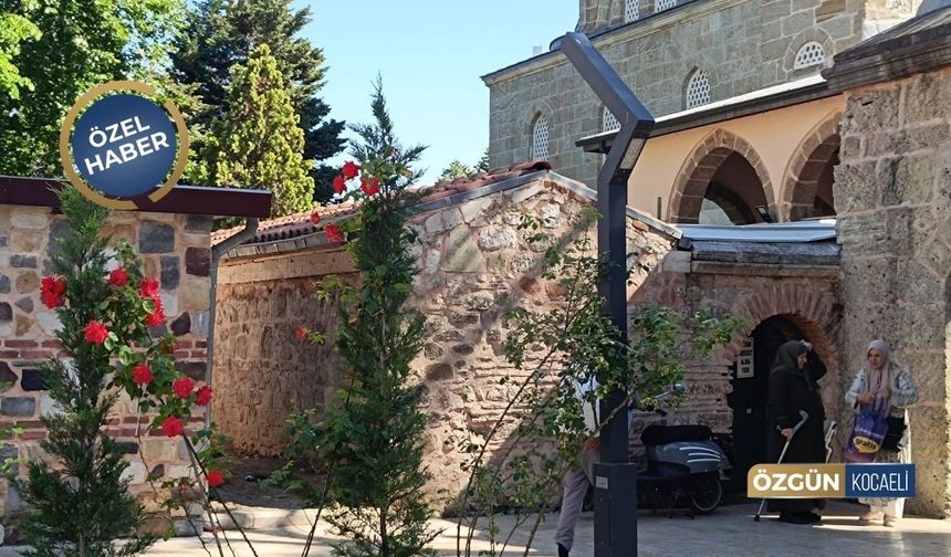 Kocaeli'de Camide Cinsel İlişkiye Girdiler!