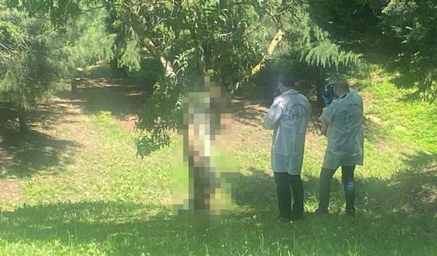 Kocaeli'de Bir Kişi Ağaca Asılı Halde Bulundu!