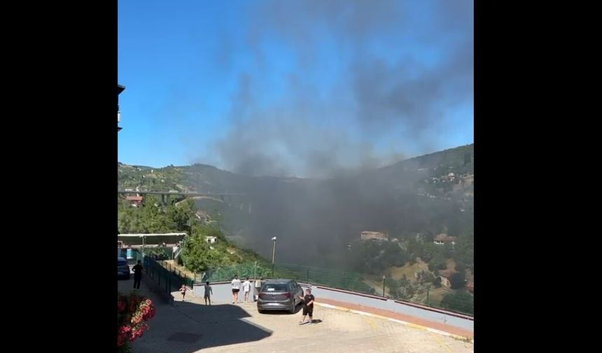 Kocaeli'de Orman Yangını!