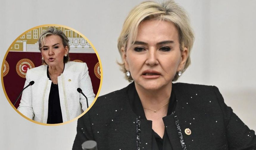 Nimet Özdemir Kimdir? CHP’den Neden İstifa Etti?