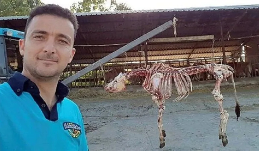 Oğlumu Isırdı Deyip Köpeğe Kıymıştı! Cani Kasabın Mahkemesi Görüldü