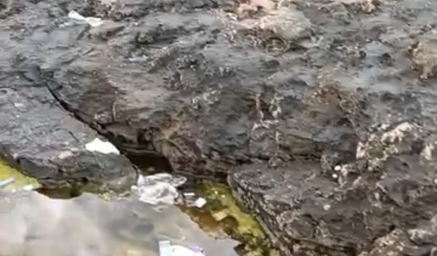 Doğaya hayran kaldılar, ardında çöp bıraktılar