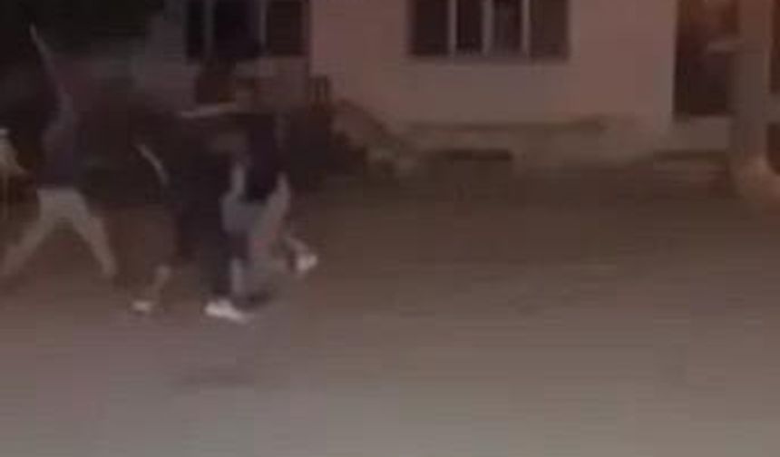 Kartepe’de Taşlı Sopalı Kavga: 6 Kişi Yaralandı