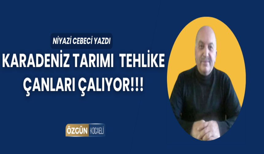 KARADENİZ TARIMI  TEHLİKE ÇANLARI ÇALIYOR!!!