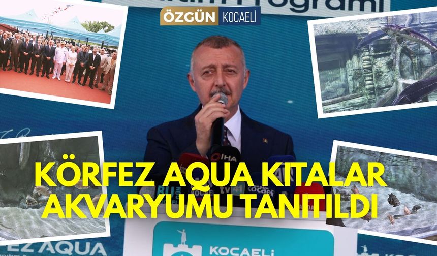 Körfez Aqua Kıtalar Akvaryumu tanıtıldı: Bu hafta sonu ücretsiz olacak