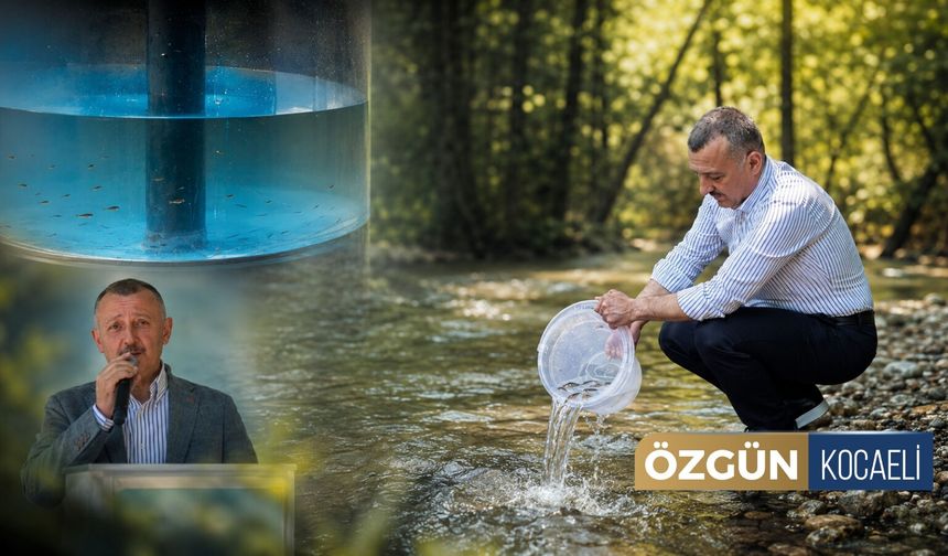 Kocaeli'de 50 Bin Adet Kırmızı Benekli Alabalık Suyla Buluştu