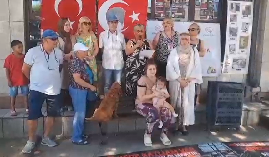 Hayvanseverlerden Valiliğe Çağrı: "10 Bin Köpeğin Ölüm Sebebi Kamuoyuna Açıklansın"