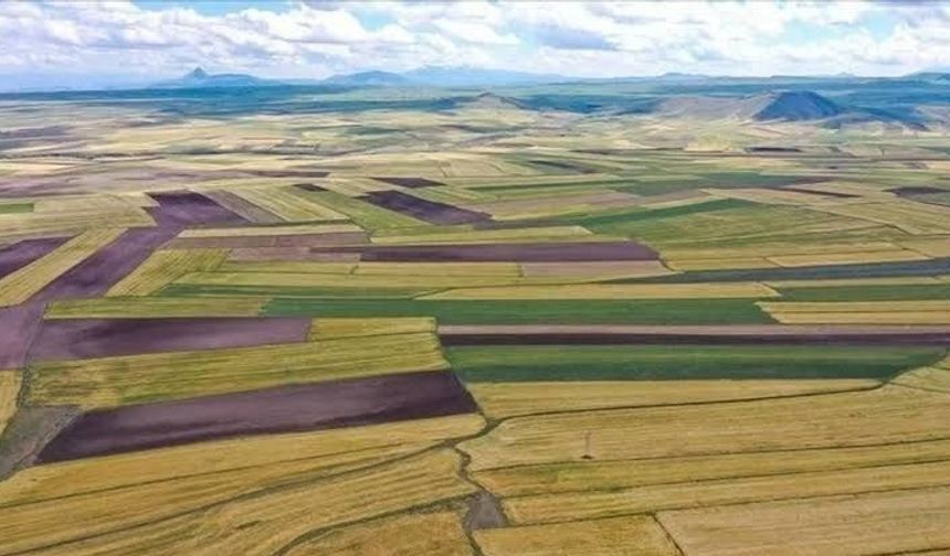 Gölcük’te 13 dönümlük tarla icradan satışa çıkarıldı