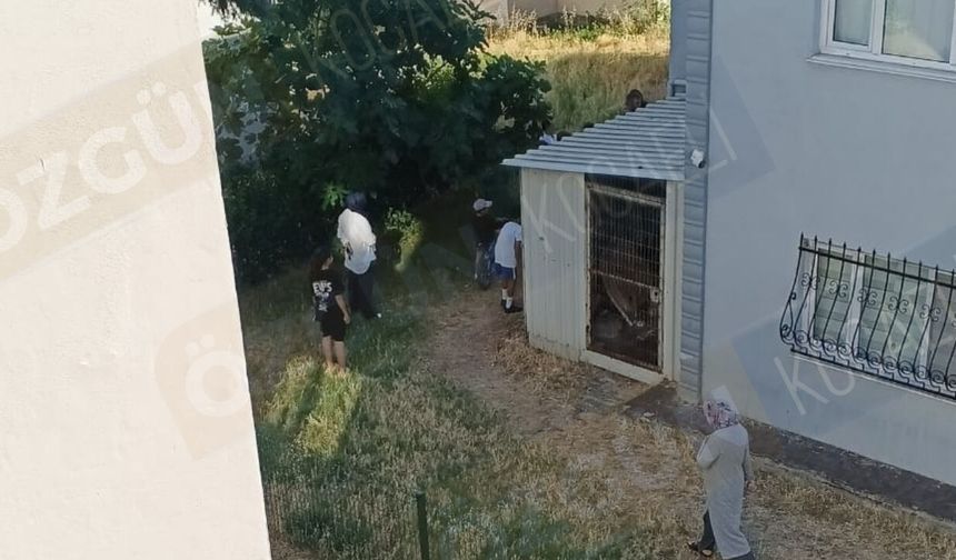5 yaşındaki çocuğun başı pencere demirlerine sıkıştı