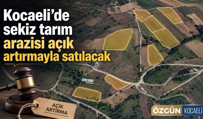 Kocaeli’de sekiz tarım arazisi açık artırmayla satılacak