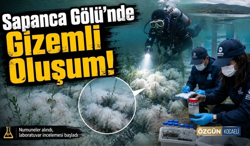 Sapanca Gölü'nde Gizemli Oluşum!