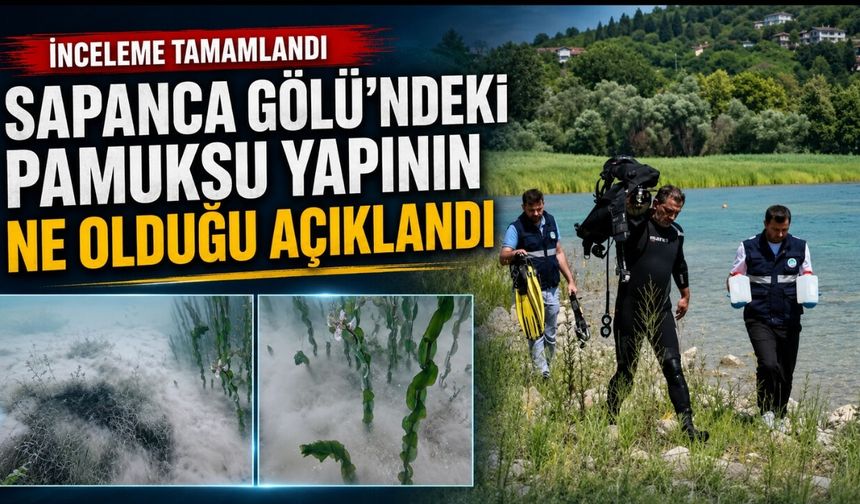 Sapanca Gölü’ndeki pamuksu yapının ne olduğu açıklandı