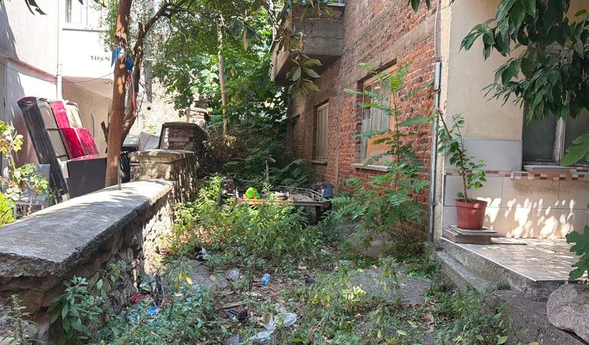 Yaz sıcağında cam açamıyorlar! Kozluk'ta pire isyanı