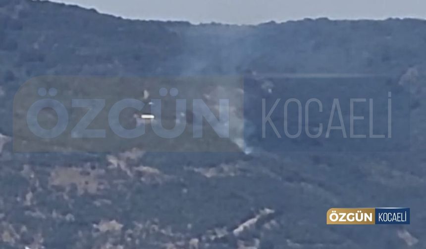Ormanlık alandan yükselen dumanlar ekipleri harekete geçirdi