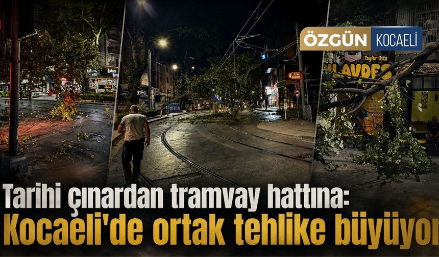 Tarihi çınardan tramvay hattına: Kocaeli'de ortak tehlike büyüyor