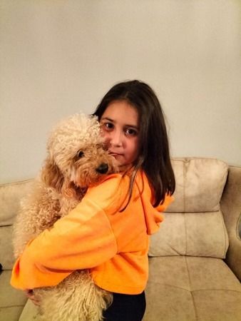 <p>Köpeğinin ölümünün ardından olayın peşini bırakmadıklarını söyleyen Yıldırım, "Eşim takip sonucunda buldu aracı. Çocuk 17 yaşında, ehliyeti yok. Ben de bu civarda öğretmenim zaten. Eski bir öğrencimin de ağabeyi olduğunu öğrendim sürücü çocuğun. Daha sonra öğreniyorum ki babasının da ehliyeti yok. Zaten çocuğun sosyal medyasında arabayı nasıl çılgınca kullandığı ayan beyan ortada. Çocuğa ve aileye 8 bin lira ceza yazılmış. Sanırım bu ceza ehliyetsiz araba kullandığı için yazıldı" dedi.</p>
<p><span style="background-color: #ffcc99;"><strong></strong></span></p>
<p><span style="background-color: #ffcc99;"><strong>HABER VE GÖRSELLER DEVAM EDİYOR, SAYFAYI İLERLETİNİZ</strong></span></p>